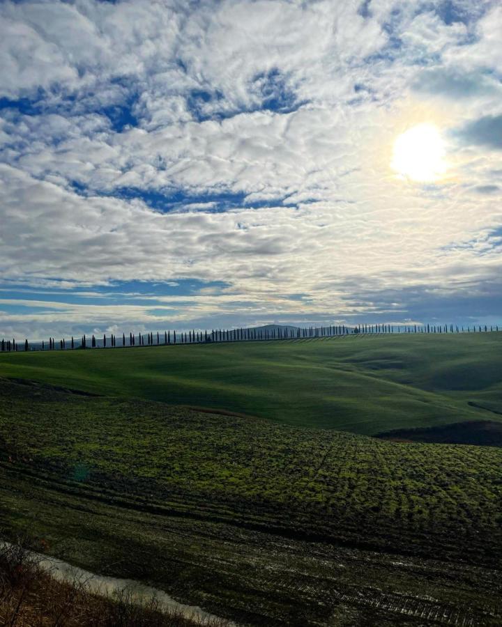 Agriturismo Bombina Montisi エクステリア 写真