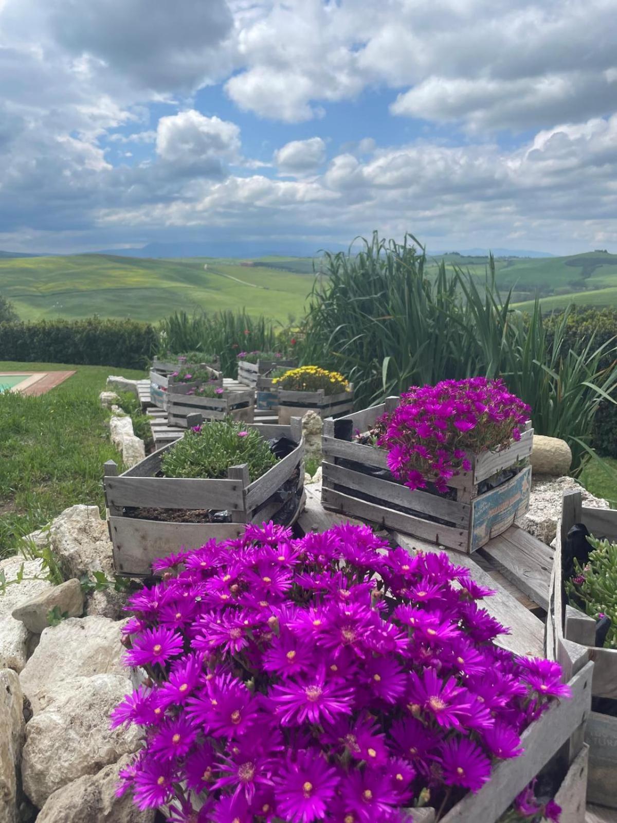 Agriturismo Bombina Montisi エクステリア 写真